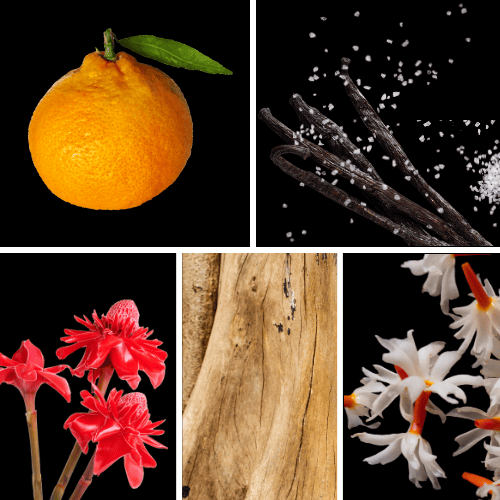 Duftnoten: Mandarine, gesalzene Vanille, Ingwerblüte, Sandelholz, Jasmin